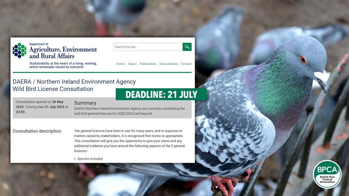 Bird licence consultation NI BPCA